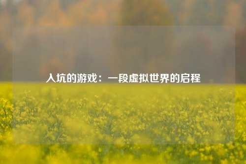 入坑的游戏:一段虚拟世界的启程