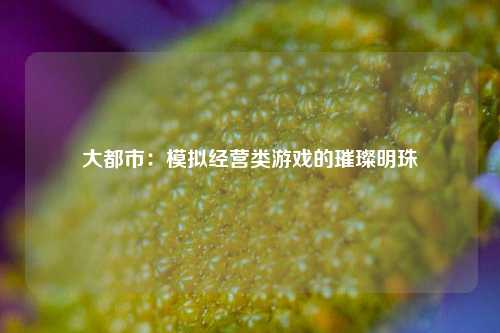 大都市：模拟经营类游戏的璀璨明珠