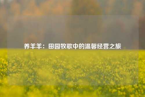 养羊羊:田园牧歌中的温馨经营之旅