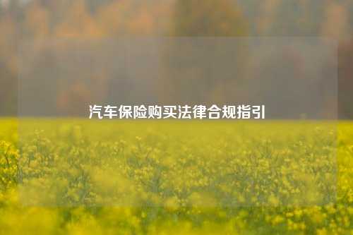 汽车保险购买法律合规指引
