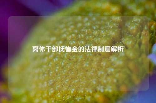 离休干部抚恤金的法律制度解析