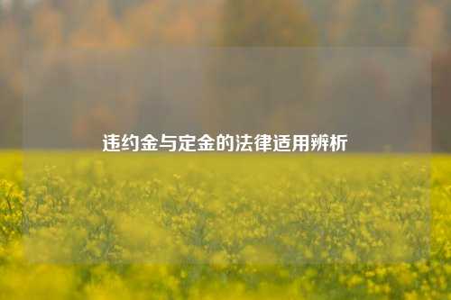 违约金与定金的法律适用辨析