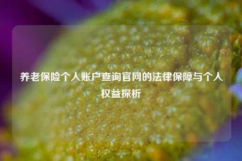 养老保险个人账户查询官网的法律保障与个人权益探析