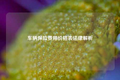 车辆保险费用价格表法律解析