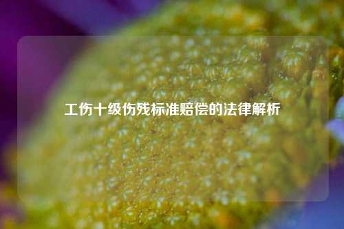 工伤十级伤残标准赔偿的法律解析