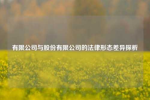 有限公司与股份有限公司的法律形态差异探析