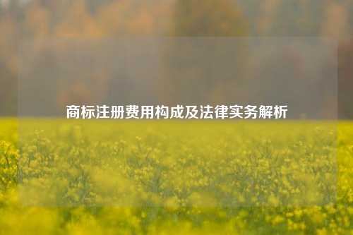 商标注册费用构成及法律实务解析